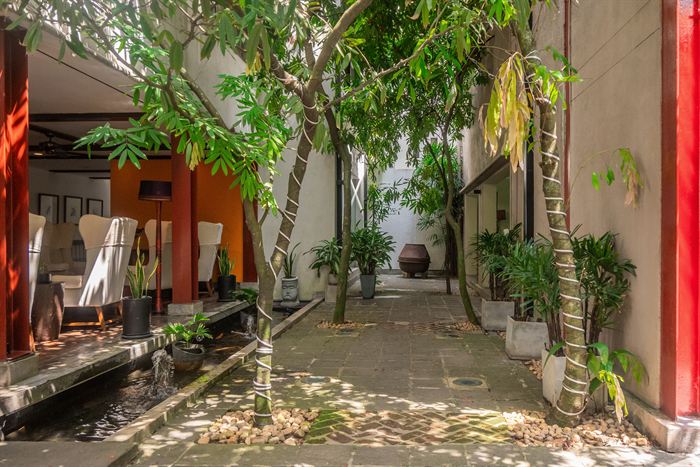 A narrow planted walkway at Colombo Court between orange walls.