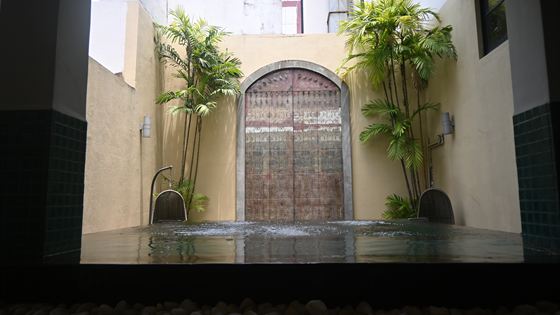 A still water feature in front of a carved timber door at the entrance to Colombo Court.