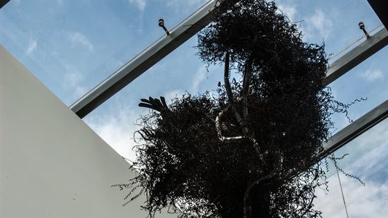 A tree sculpted from reclaimed steel and rust rising through a glass roof at Colombo Court.