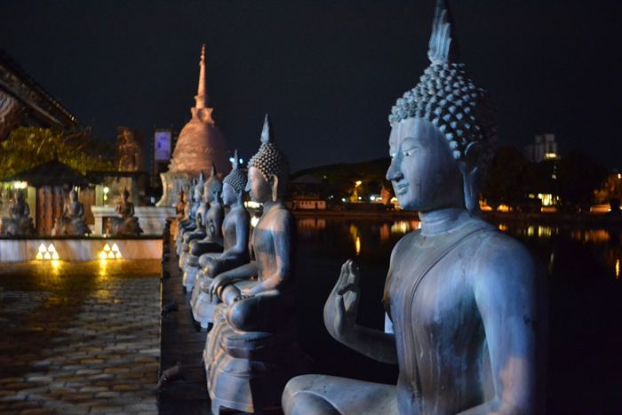 Statues of the Buddha lit at night beside the water at Gangaramaya Temple, Colombo.