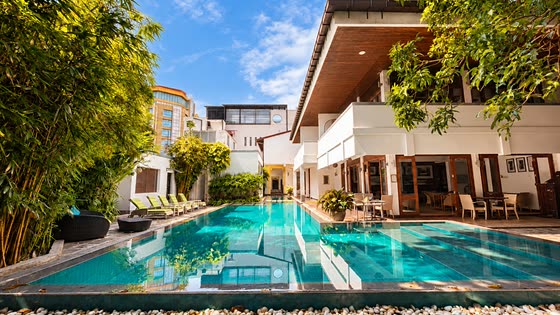 The pool at Colombo Court running the length of the garden on a bright day, white walls, bamboo and loungers either side.