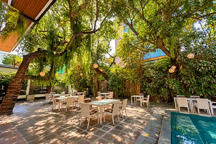 Tables set under the old trees beside the pool at Amber Poolside, dappled light across the stone floor.