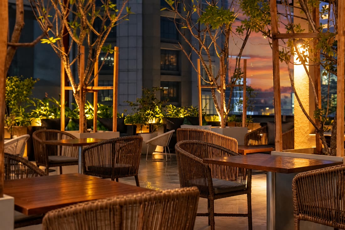 The rooftop at twilight, trees lit in their planters and the sky turning pink over Colombo 3.