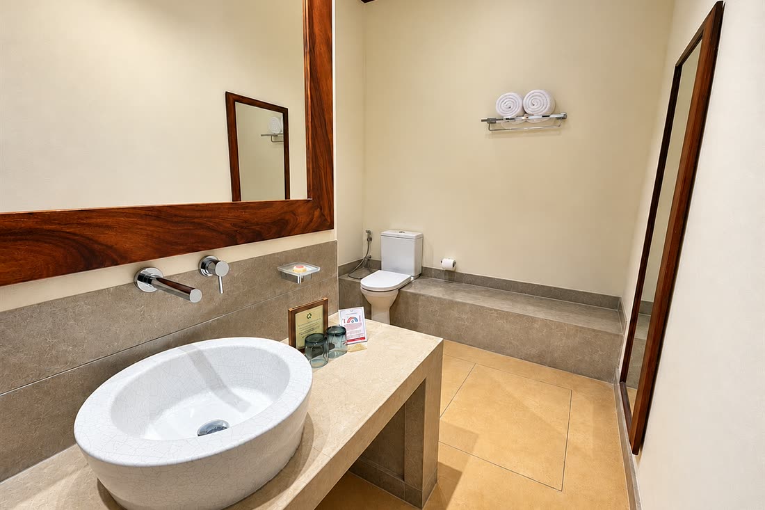 The bathroom in a Deluxe Room, a round basin on a stone counter under a timber mirror.