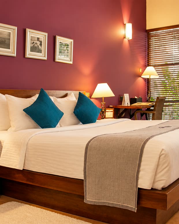 A Superior Deluxe room at Colombo Court, a king bed with teal cushions against a plum wall, lamps lit either side.