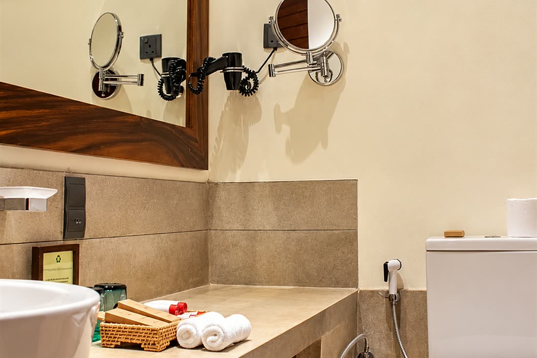 The vanity in a Superior Deluxe bathroom, a round basin on a stone counter under a timber-framed mirror.